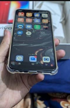 Vivo