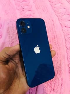 iPhone 12
