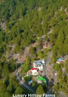 Murree