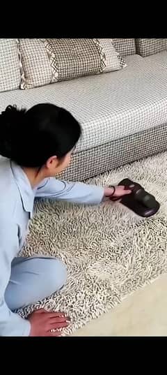 Electric Mite Removal | Vacuum Cleaner