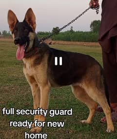Security