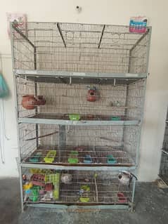 12 Portion Folding Cage With Angle Iron 10 NUM Wire