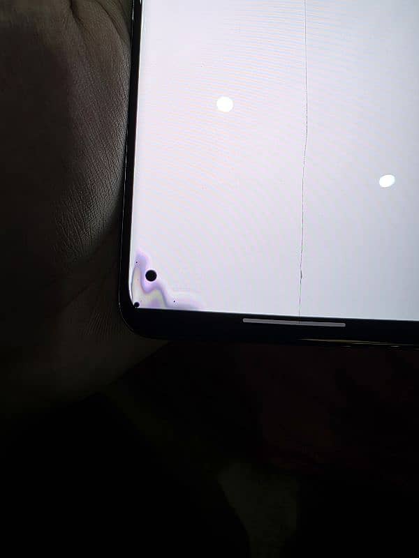 S20 Plus Display Panel 1