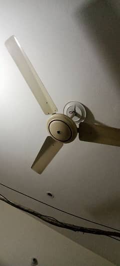 celling fan