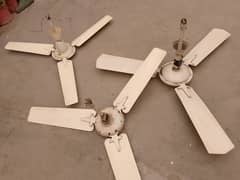 Floor fans