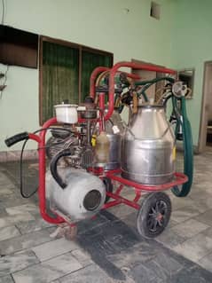 Milking