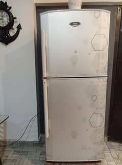 Haier Fridge (10 years)