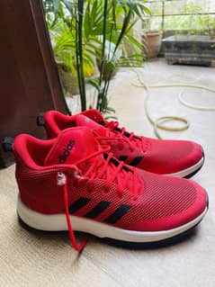 Shoes / Man Shoes / Sneakers / Adidas Jogger