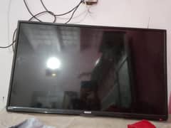 LED