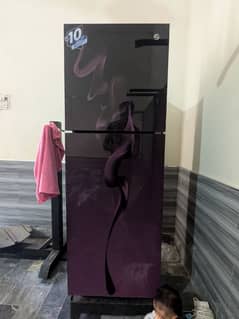 PEL FREEZER FOR SALE