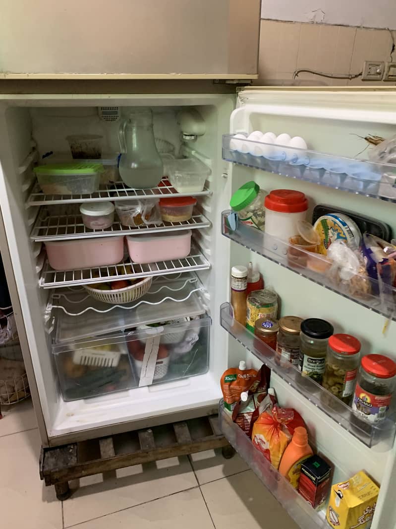 fridge 16