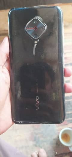 vivo