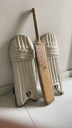 Cricket