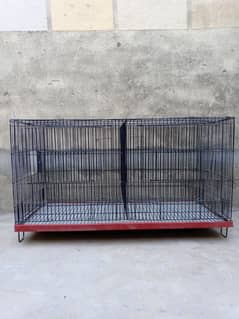 0327-0277654/cage/parrot/cocktail/bajri/Australian/hen/love bird/albin