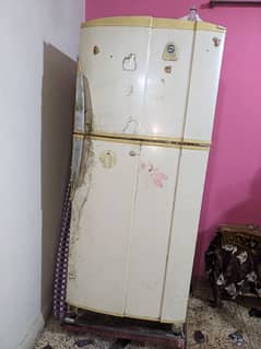 Fridge For Sale (pel Company) Large Size