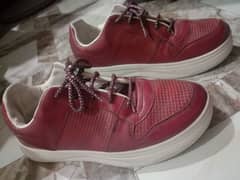 Stylo Shoes