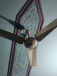 Ceiling Fans