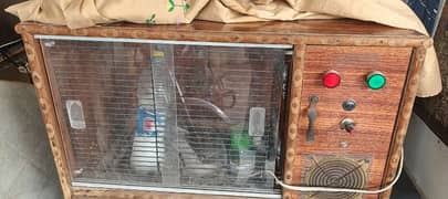 Auto brooder