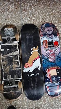 skateboard deck
