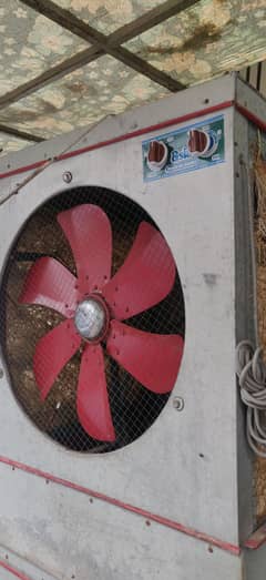 Air