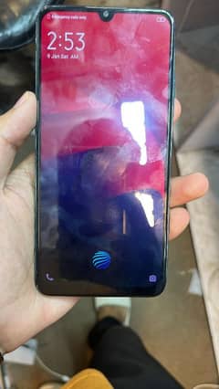 vivo