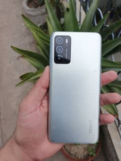 OPPO