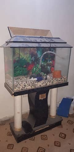 huge aquarium for sale in block 1 gulistan e jauhar