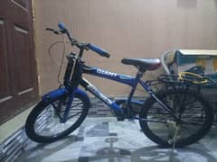 PHOENIX CYCLE
