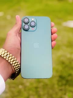iPhone 13 Pro Max all ok 10 by 10 condition
