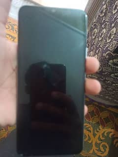 Vivo.