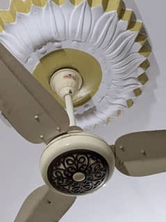 ceiling fan for sell