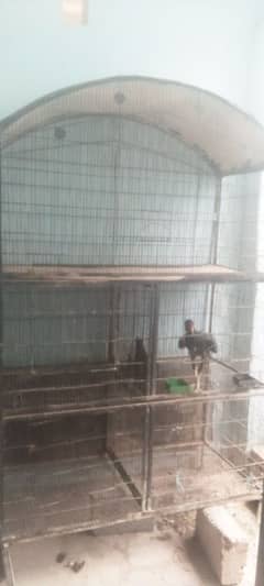 hen