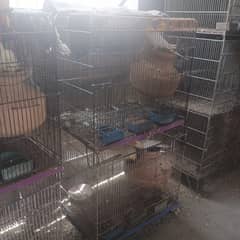 Cage