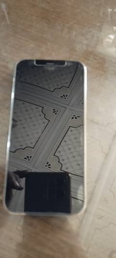 Apple iPhone 12 Pro Max Factory Unlock
