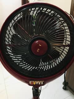 Royal Fan