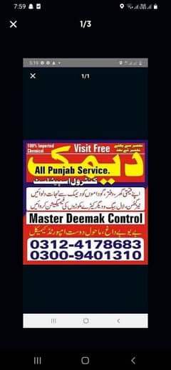 Paste Control/deemak Control/Fumigation dengue Spray