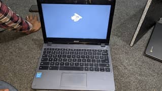 Acer