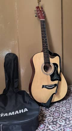 Swift horse Acoustic guitar