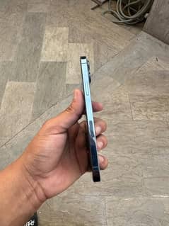 iPhone 13 Pro Max jv