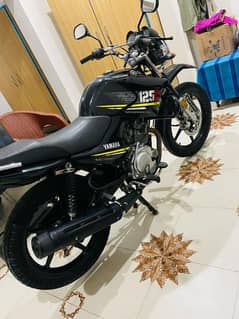 Ybr 125G sepecial edition for sale