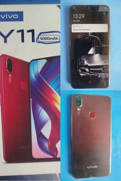 vivo