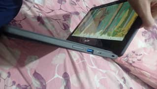 Acer