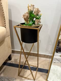 Planter  frame with plant