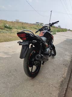 all Punjab number
