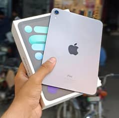 Ipad-Mini