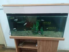 aquarium for sale urgent with all accessories