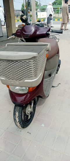 49 cc Honda, Suzuki