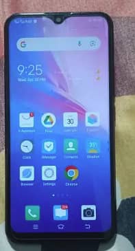 VIVO