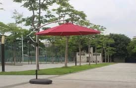 umbrella