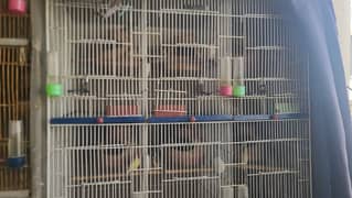 cages